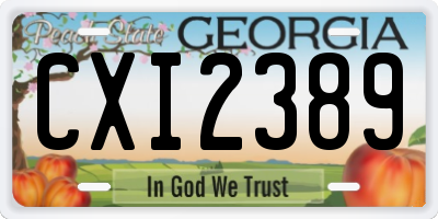 GA license plate CXI2389