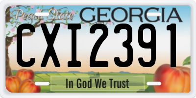 GA license plate CXI2391