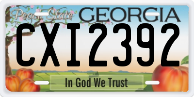 GA license plate CXI2392