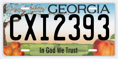 GA license plate CXI2393