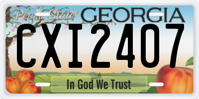 GA license plate CXI2407