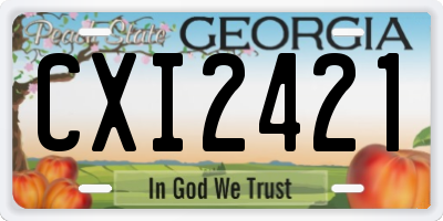 GA license plate CXI2421