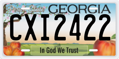 GA license plate CXI2422