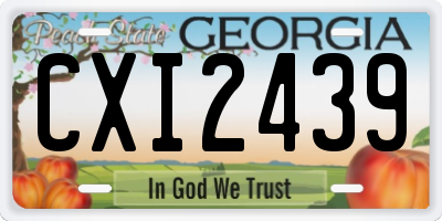 GA license plate CXI2439
