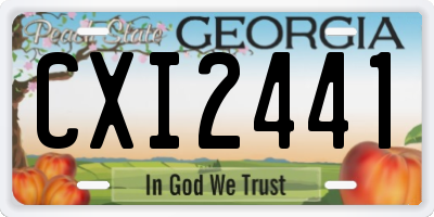 GA license plate CXI2441