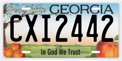 GA license plate CXI2442