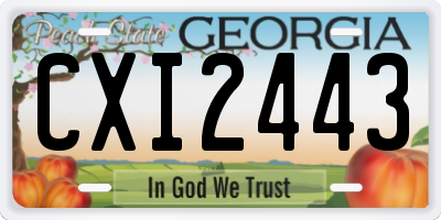 GA license plate CXI2443