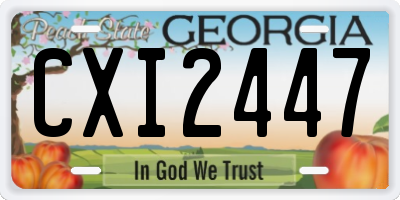 GA license plate CXI2447