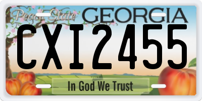 GA license plate CXI2455
