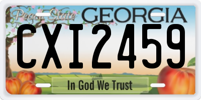 GA license plate CXI2459