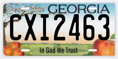 GA license plate CXI2463