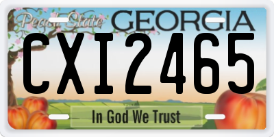 GA license plate CXI2465