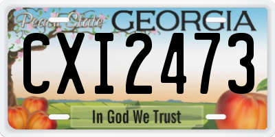 GA license plate CXI2473