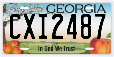GA license plate CXI2487
