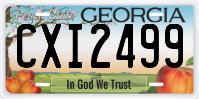 GA license plate CXI2499