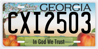 GA license plate CXI2503