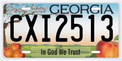 GA license plate CXI2513