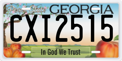 GA license plate CXI2515