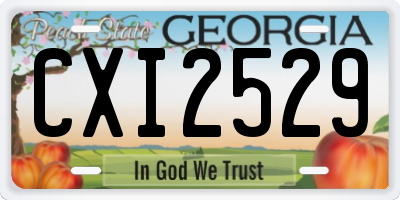 GA license plate CXI2529