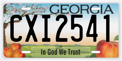 GA license plate CXI2541