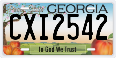 GA license plate CXI2542