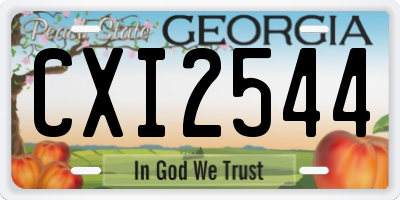 GA license plate CXI2544