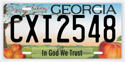 GA license plate CXI2548