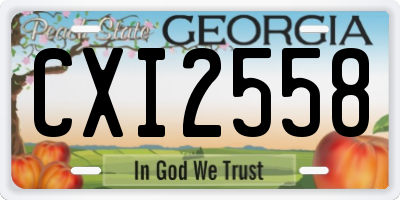 GA license plate CXI2558