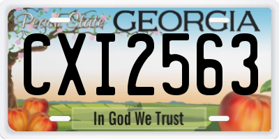 GA license plate CXI2563