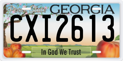 GA license plate CXI2613