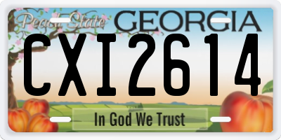 GA license plate CXI2614