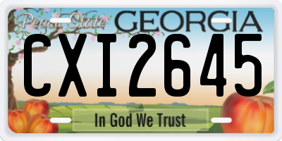 GA license plate CXI2645