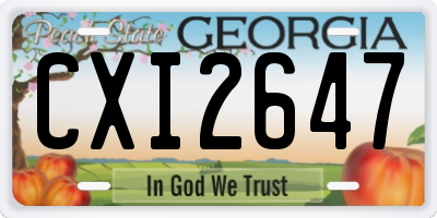 GA license plate CXI2647