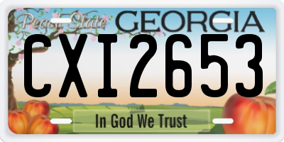GA license plate CXI2653