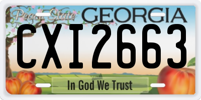 GA license plate CXI2663