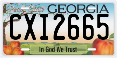 GA license plate CXI2665