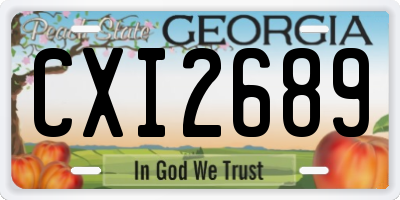 GA license plate CXI2689