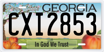 GA license plate CXI2853