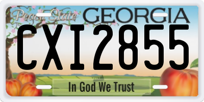 GA license plate CXI2855