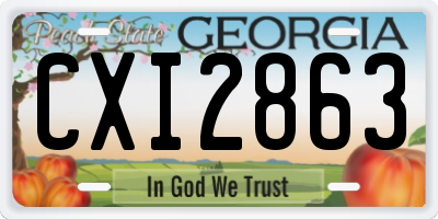 GA license plate CXI2863