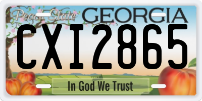 GA license plate CXI2865