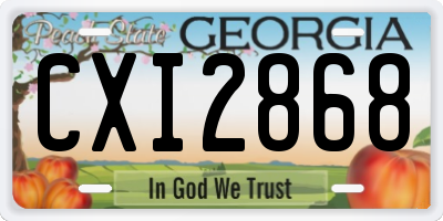 GA license plate CXI2868