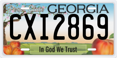 GA license plate CXI2869