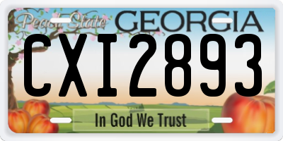 GA license plate CXI2893