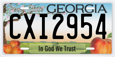 GA license plate CXI2954