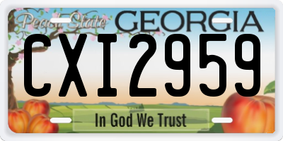 GA license plate CXI2959