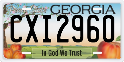 GA license plate CXI2960
