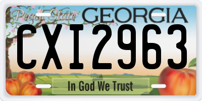 GA license plate CXI2963