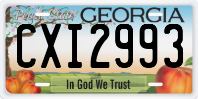 GA license plate CXI2993