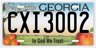 GA license plate CXI3002